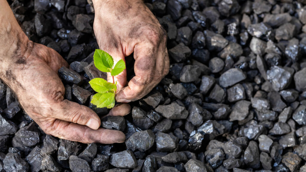 terra-preta-kohle-hand-klimangy